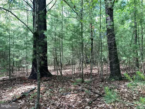 L7 Quaker Woods Lane, Capon Bridge, WV 26711