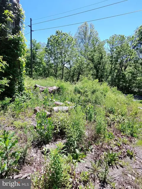 1461 Springfield Pike, Springfield, WV 26763 photo 13