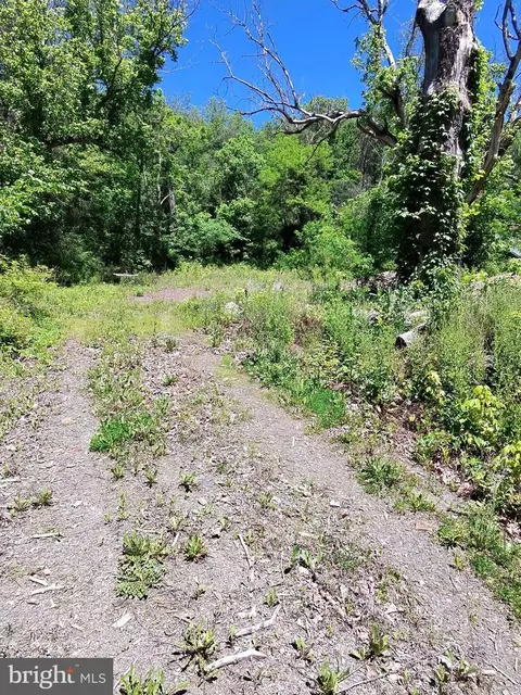 1461 Springfield Pike, Springfield, WV 26763 photo 3