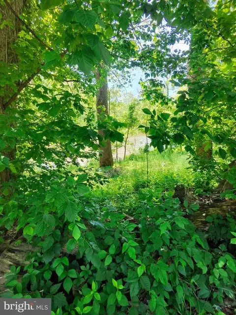 1461 Springfield Pike, Springfield, WV 26763 photo 12