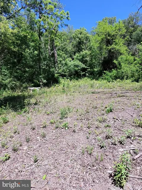 1461 Springfield Pike, Springfield, WV 26763 photo 2