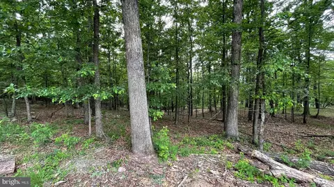 lot S 47-48-49 Bristol Ct, Slanesville, WV 25444
