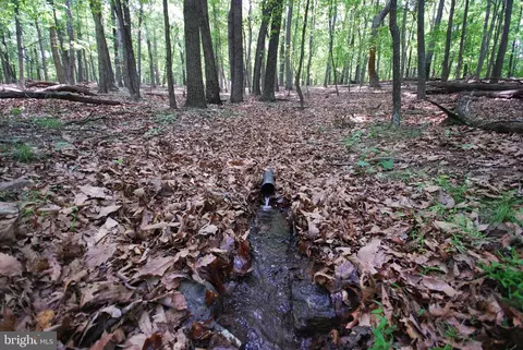lot67 Mill Mountain Rd, Romney, WV 26757