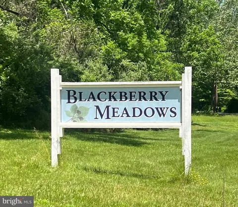 Waterberry Drive, Paw Paw, WV 25434