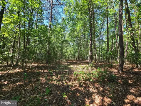 186 Big Oak Dr, Points, WV 25437 photo 4