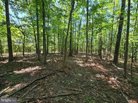 186 Big Oak Dr, Points, WV 25437 photo 6