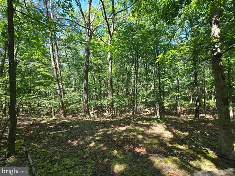 186 Big Oak Dr, Points, WV 25437 photo 8