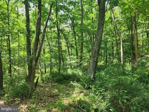lot1 Nathaniel Mountain Hts, Romney, WV 26757