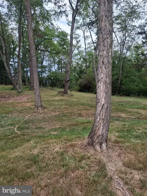 45 Towson Ln, Augusta, WV 26704 photo 8
