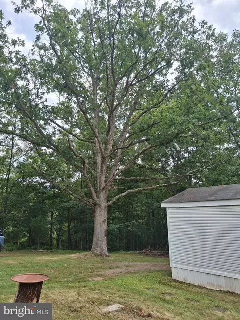 45 Towson Ln, Augusta, WV 26704 photo 7