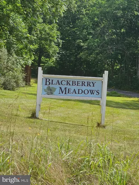 lot2 Blackberry Meadows No Physical Address, Paw Paw, WV 25434