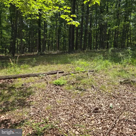 lot S 24 -25 Ashley Ct, Shanks, WV 26761