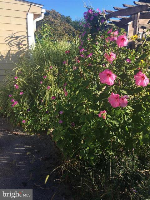 124 W 6th Ave, Ranson, WV 25438 photo 32