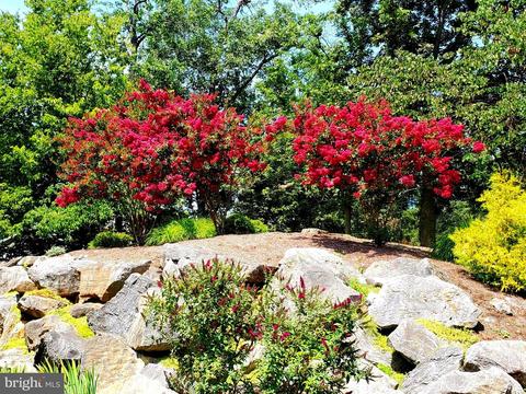 32 Juniper Dr, Shepherdstown, WV 25443 photo 81