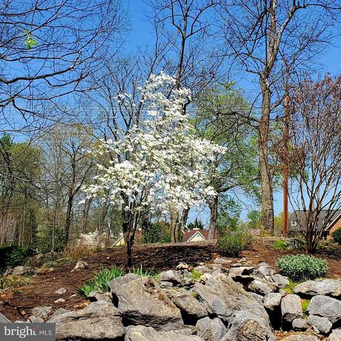 32 Juniper Dr, Shepherdstown, WV 25443 photo 79