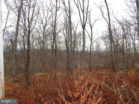 0 Fawn Dr, Harpers Ferry, WV 25425