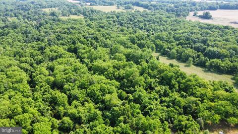 Warm Springs Rd, Shenandoah Junction, WV 25442