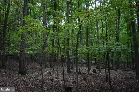 Terrapin Road, Harpers Ferry, WV 25425