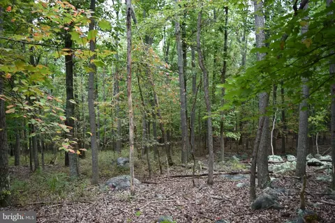 Black Bear Trail, Harpers Ferry, WV 25425