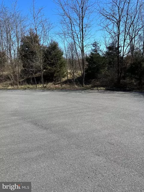 Marsh Hawk Way, Shepherdstown, WV 25443