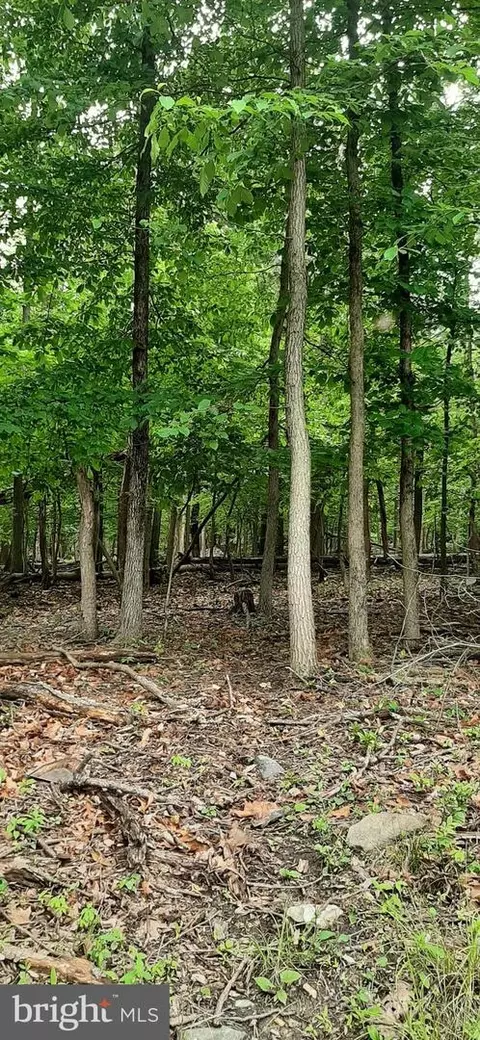 Windsong Road, Harpers Ferry, WV 25425