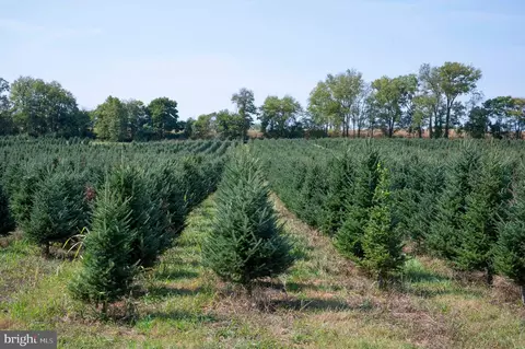 Other - 364 Knott Rd, Shepherdstown, WV 25443 photo 33 of 38