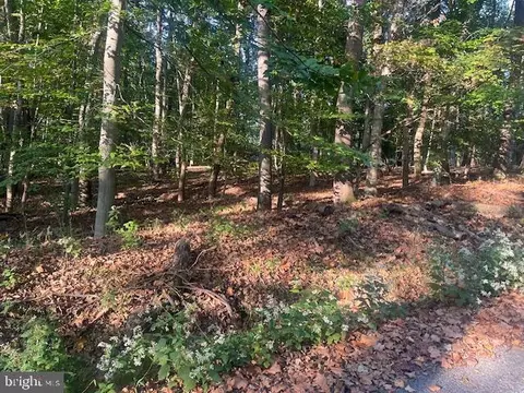 Steamboat Run Road, Shepherdstown, WV 25443
