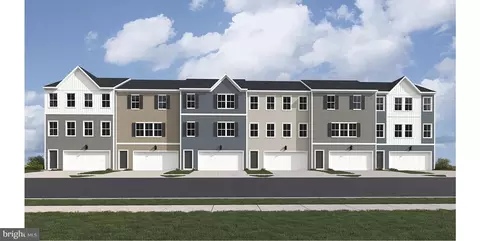 64 Night Star Ter #LOT 044 AMELIA, Kearneysville, WV 25430