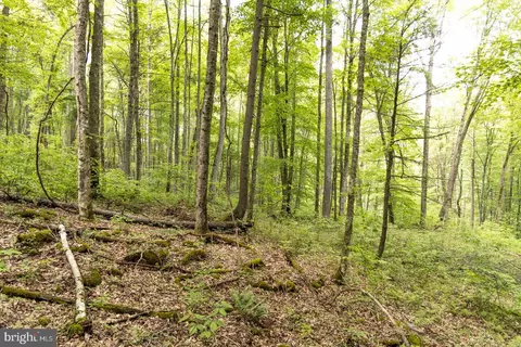 0 Pine Grv, Athens, WV 24712 photo 27