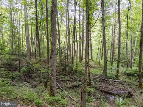 0 Pine Grv, Athens, WV 24712 photo 40