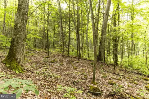 0 Pine Grv, Athens, WV 24712 photo 19