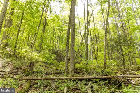 0 Pine Grv, Athens, WV 24712 photo 24