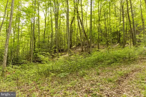 0 Pine Grv, Athens, WV 24712 photo 6