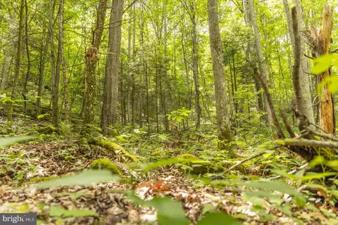 0 Pine Grv, Athens, WV 24712 photo 7