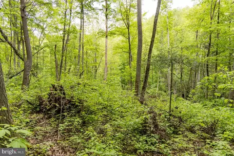0 Pine Grv, Athens, WV 24712 photo 28