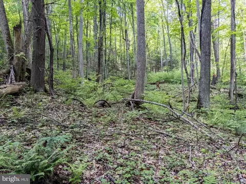 0 Pine Grv, Athens, WV 24712 photo 39