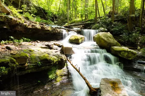 0 Pine Grv, Athens, WV 24712 photo 10