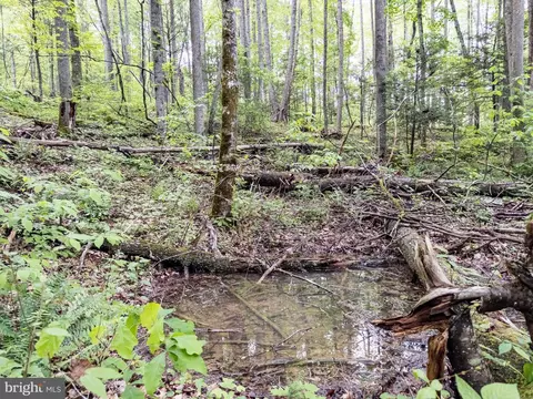0 Pine Grv, Athens, WV 24712 photo 41