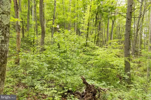 0 Pine Grv, Athens, WV 24712 photo 26