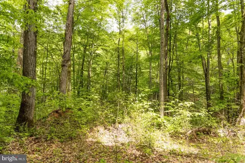 0 Pine Grv, Athens, WV 24712 photo 20