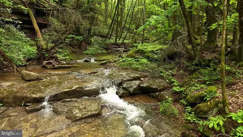 0 Pine Grv, Athens, WV 24712 photo 34