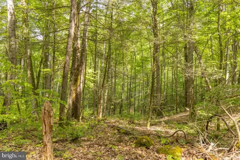 0 Pine Grv, Athens, WV 24712 photo 21