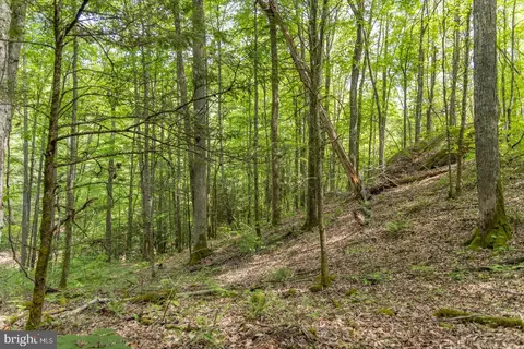 0 Pine Grv, Athens, WV 24712 photo 8