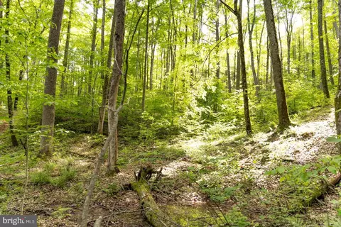 0 Pine Grv, Athens, WV 24712 photo 23