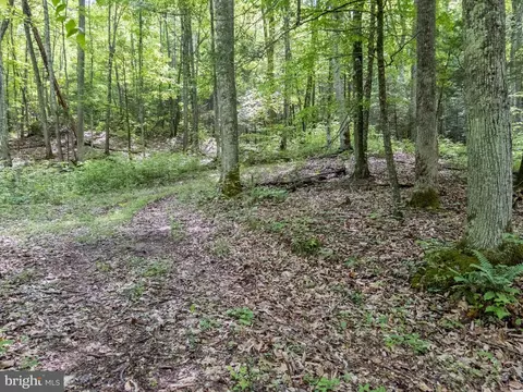 0 Pine Grv, Athens, WV 24712 photo 37