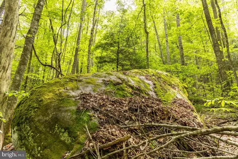 0 Pine Grv, Athens, WV 24712 photo 22