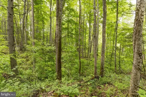 0 Pine Grv, Athens, WV 24712 photo 25