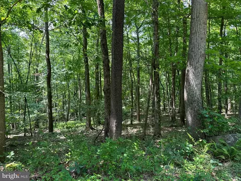 Tbd Pine Ridge Road, Morgantown, WV 26508