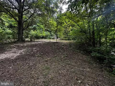 Gooseman Trail - Off Rt #50, New Creek, WV 26743