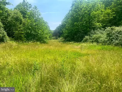 73 23 Acres Myers Ln, Fort Ashby, WV 26719